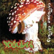 Album 561